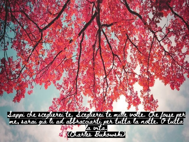 Sappi che sceglierei te. Sceglierei te mille volte. Che fosse per me, sarai già lì ad abbracciarti per tutta la notte. O tutta la vita.(Charles Bukowski)