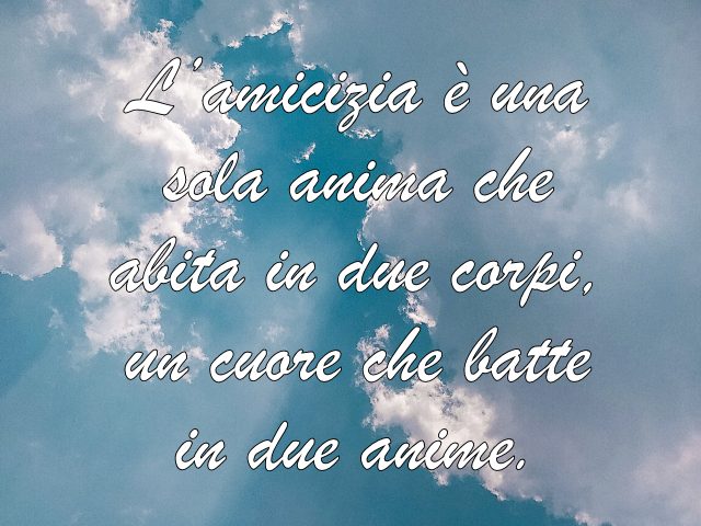 L’amicizia è una sola anima che abita in due corpi, un cuore che batte in due anime.