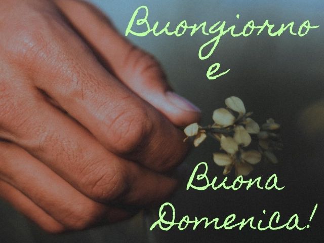 Buongiorno e buona domenica!