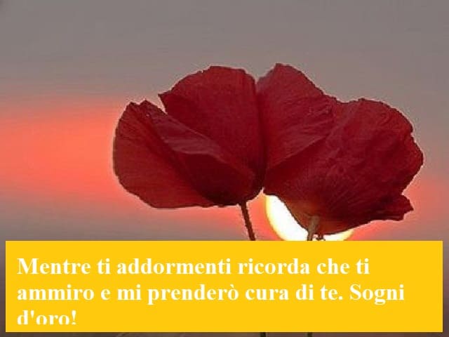 Mentre ti addormenti ricorda che ti ammiro e mi prenderò cura di te. Sogni d'oro!