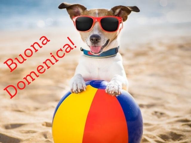 Buona domenica!