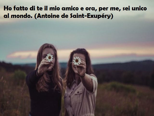 Ho fatto di te il mio amico e ora, per me, sei unico al mondo. (Antoine de Saint-Exupéry)
