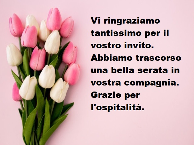 Vi ringraziamo tantissimo per il vostro invito. Abbiamo trascorso una bella serata in vostra compagnia. Grazie per l'ospitalità.