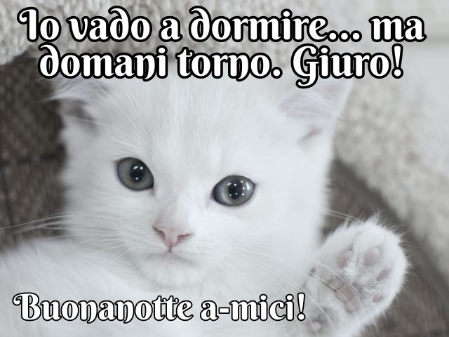 Io vado a dormire… ma domani torno. Giuro! Buonanotte a-mici!