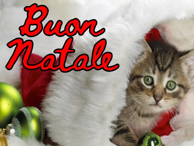 Buon Natale.