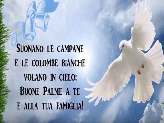 Suonano le campane e le colombe bianche volano in cielo: Buone Palme a te e alla tua famiglia!
