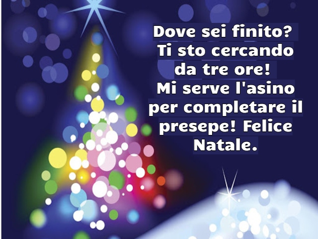 Dove sei finito? Ti sto cercando da tre ore! Mi serve l'asino per completare il presepe! Felice Natale.