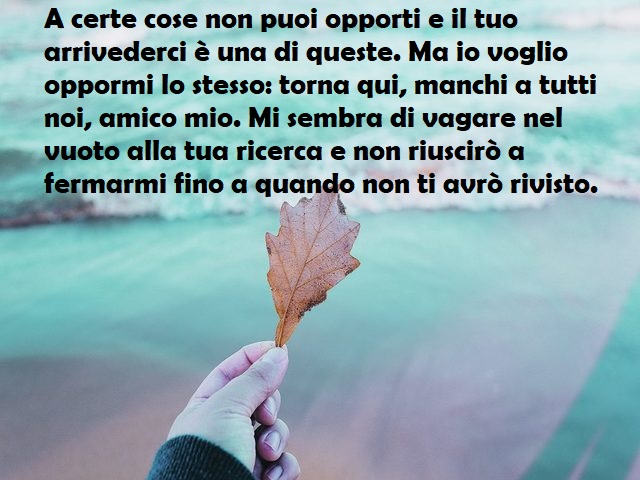 A certe cose non puoi opporti e il tuo arrivederci è una di queste. Ma io voglio oppormi lo stesso: torna qui, manchi a tutti noi, amico mio. Mi sembra di vagare nel vuoto alla tua ricerca e non riuscirò a fermarmi fino a quando non ti avrò rivisto.