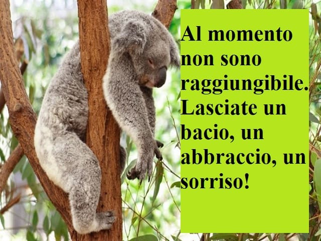 Al momento non sono raggiungibile. Lasciate un bacio, un abbraccio, un sorriso!