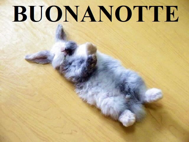Buonanotte.