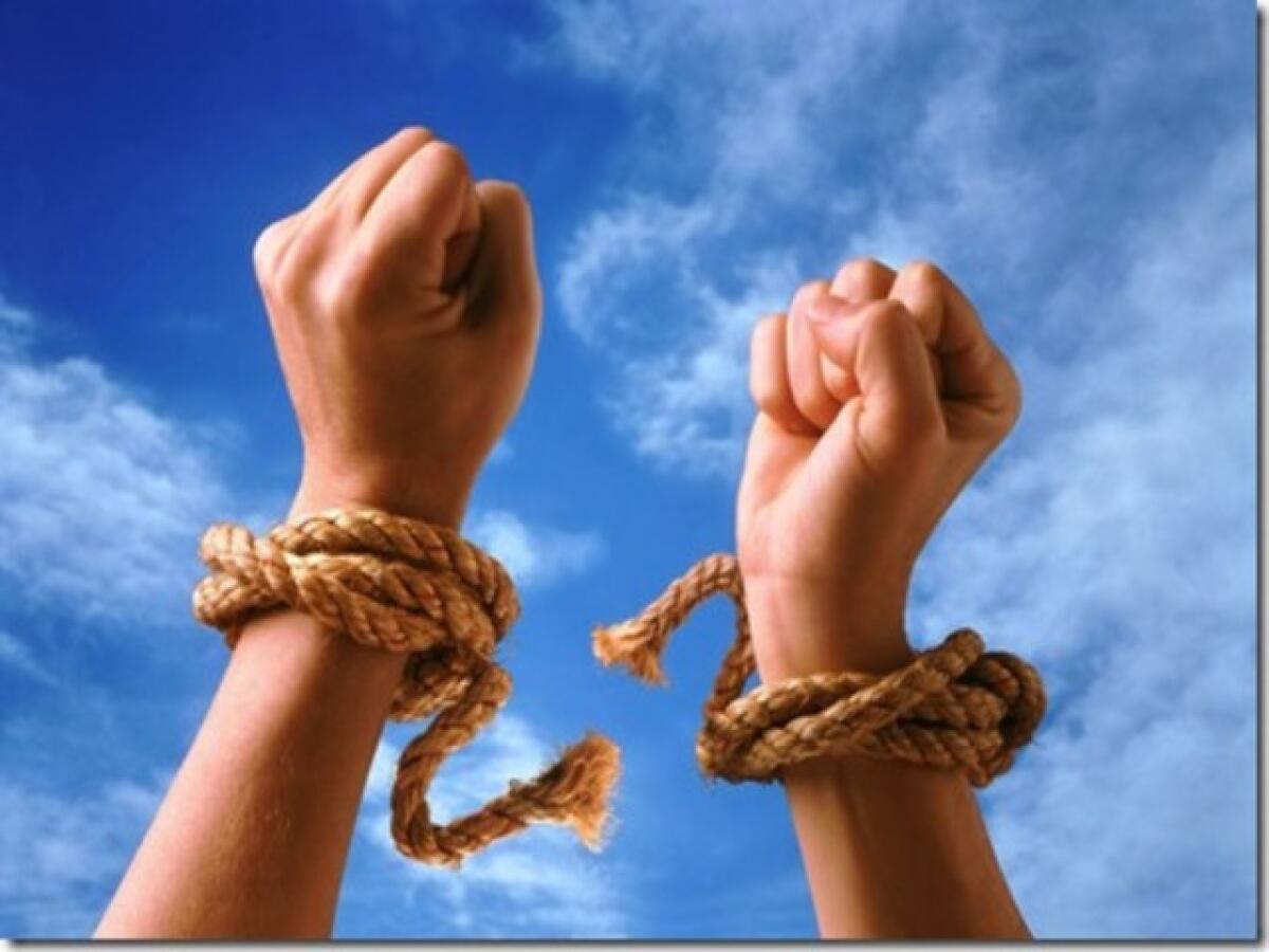 Frasi sulla libertà: 144 riflessioni e immagini da condividere - 
