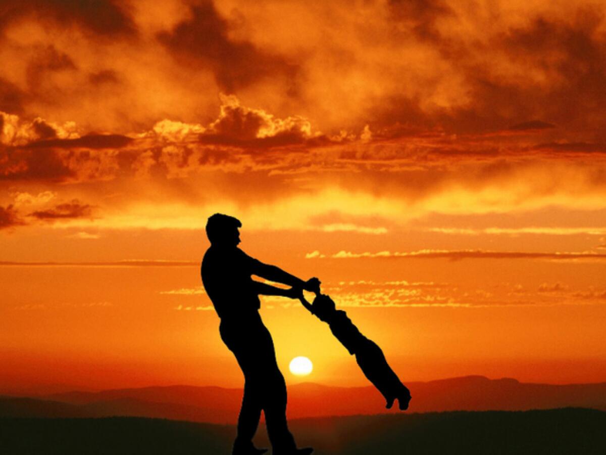 Al mio papà: 84 dolci poesie da dedicare all'uomo più importante della nostra vita - 