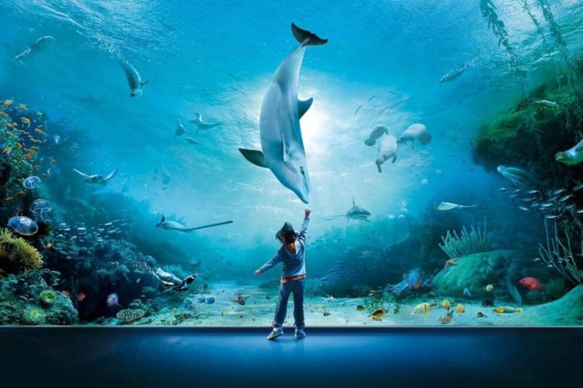 Acquario di Genova: tutto quel che c'è da sapere sul più grande acquario d'Italia - 