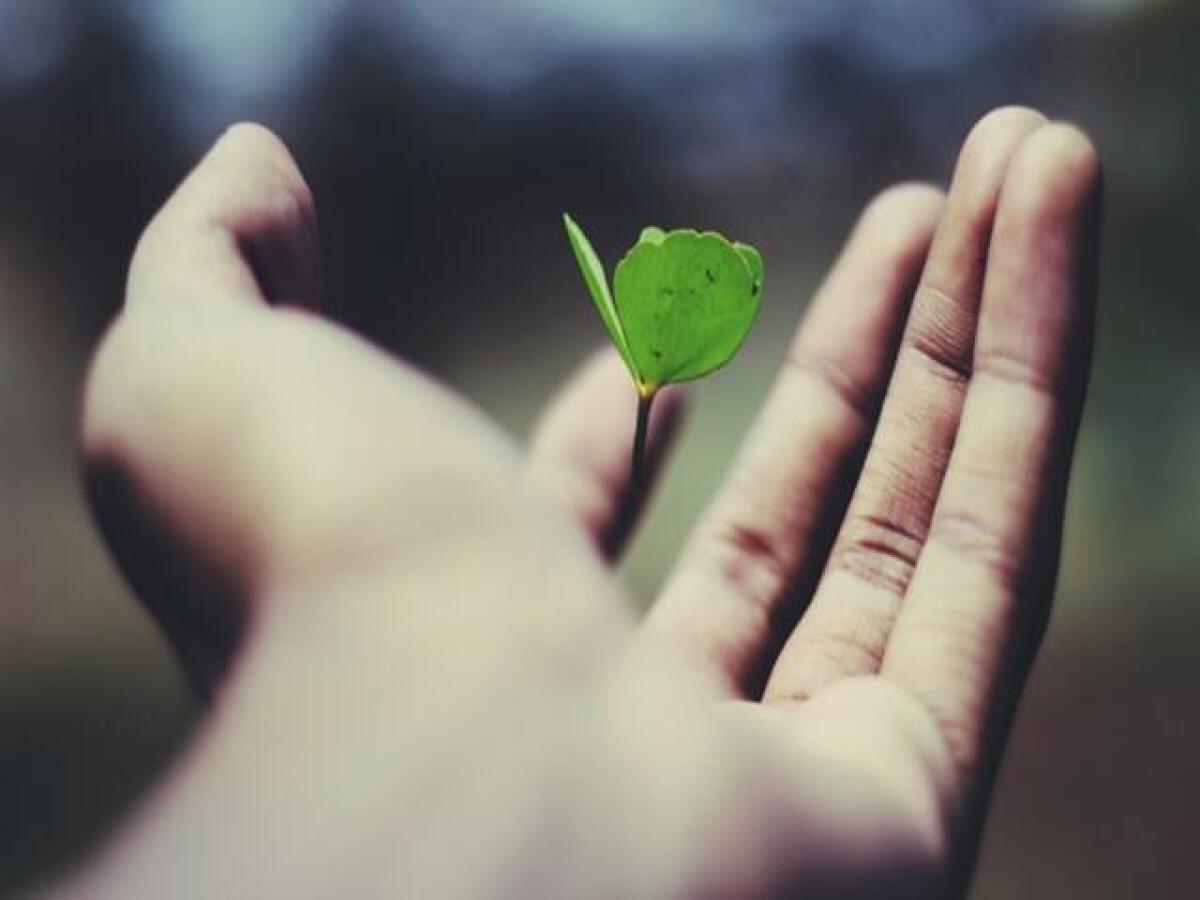 Frasi in inglese sulla vita: 142 frasi e immagini bellissime sull'esistenza - 
