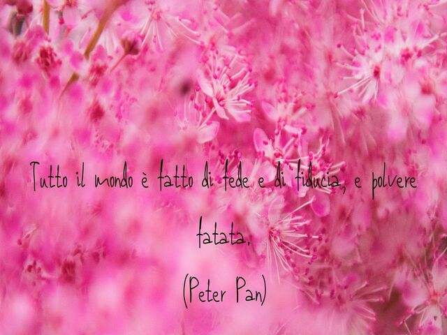 Tutto il mondo è fatto di fede e di fiducia, e polvere fatata.(Peter Pan)