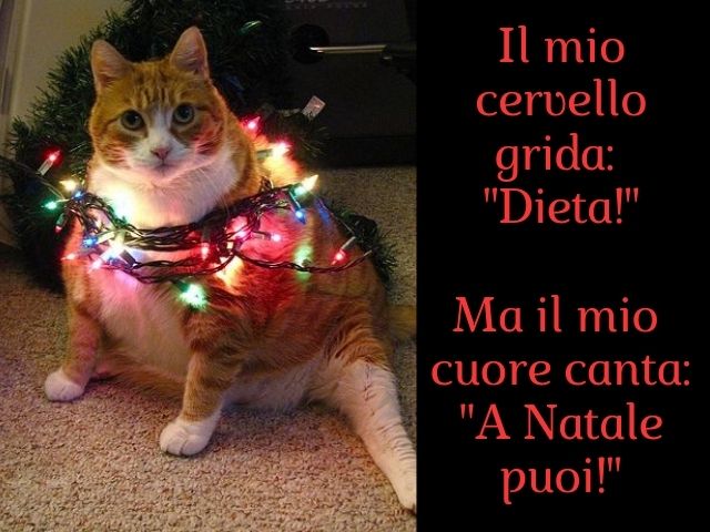 Il mio cervello grida: "Dieta!"Ma il mio cuore canta: "A Natale puoi!"