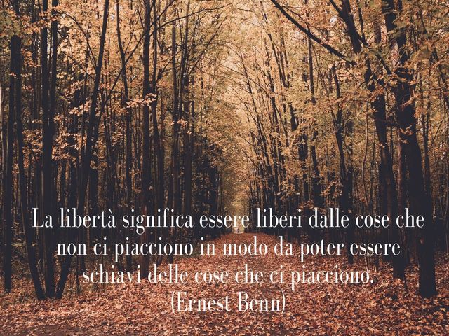 La libertà significa essere liberi dalle cose che non ci piacciono in modo da poter essere schiavi delle cose che ci piacciono.(Ernest Benn)