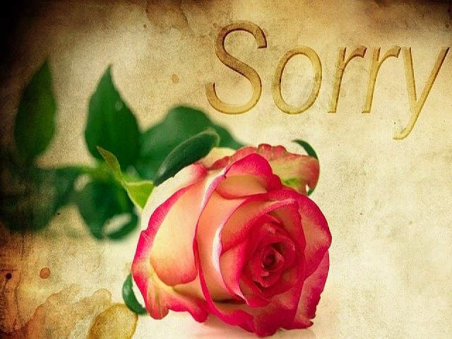 Sorry (Mi dispiace)