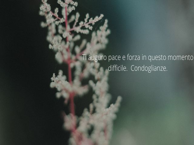 Ti auguro pace e forza in questo momento difficile. Condoglianze.