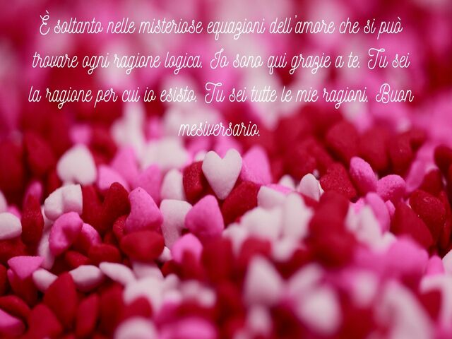 È soltanto nelle misteriose equazioni dell’amore che si può trovare ogni ragione logica. Io sono qui grazie a te. Tu sei la ragione per cui io esisto. Tu sei tutte le mie ragioni. Buon mesiversario.