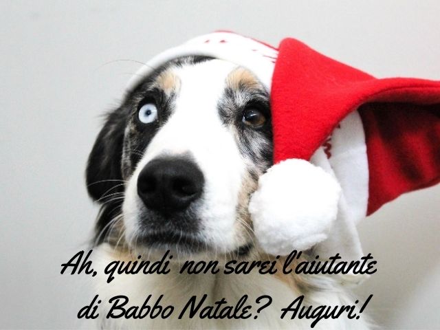 Ah, quindi non sarei l'aiutante di Babbo Natale? Auguri!