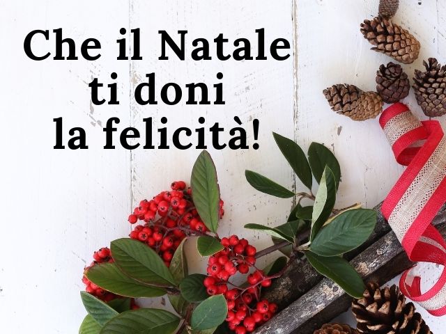 Che il Natale ti doni la felicità!