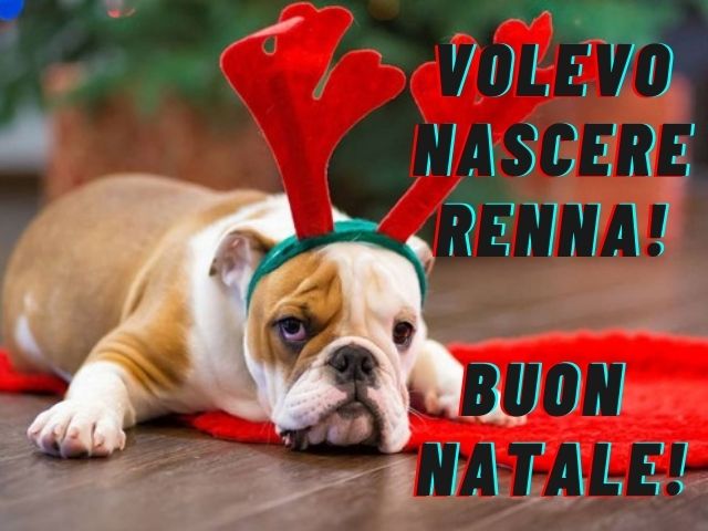 Volevo nascere renna!Buon Natale!