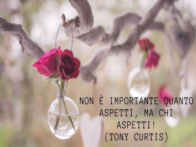 Non è importante quanto aspetti, ma chi aspetti!(Tony Curtis)
