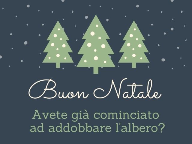 Buon NataleAvete già cominciato ad addobbare l'albero?