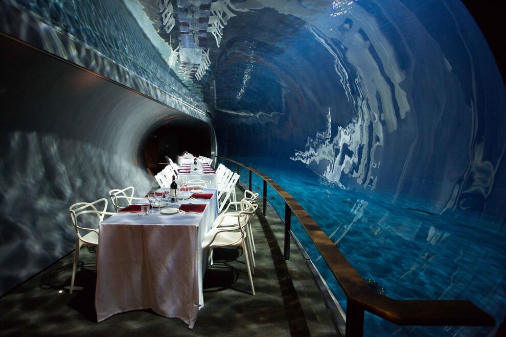 cena acquario