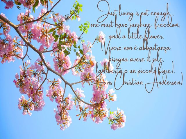 Just living is not enough…one must have sunshine, freedom, and a little flower. (Vivere non è abbastanza bisogna avere il sole, la libertà e un piccolo fiore). (Hans Christian Andersen)