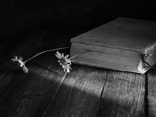 foto poesie sul passato