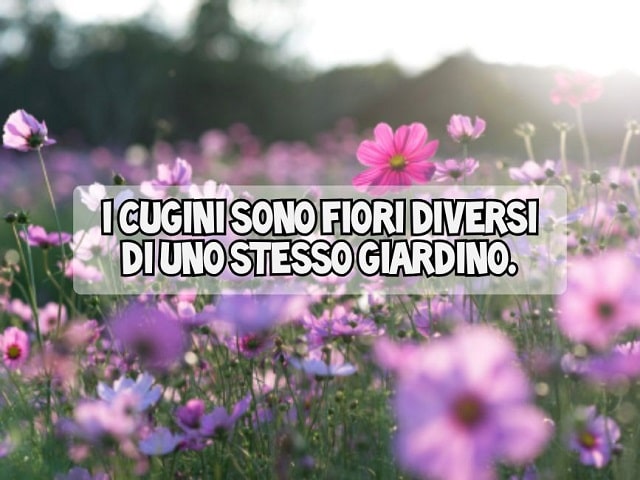 I cugini sono fiori diversi di uno stesso giardino.