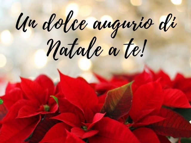 Un dolce augurio di Natale a te!