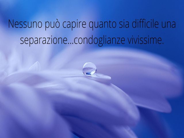 Nessuno può capire quanto sia difficile una separazione...condoglianze vivissime.