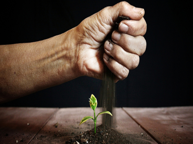 Frasi sul costruire il futuro