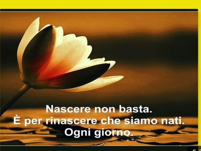 Nascere non basta. È per rinascere che siamo nati ogni giorno.