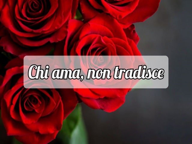 Chi ama, non tradisce.