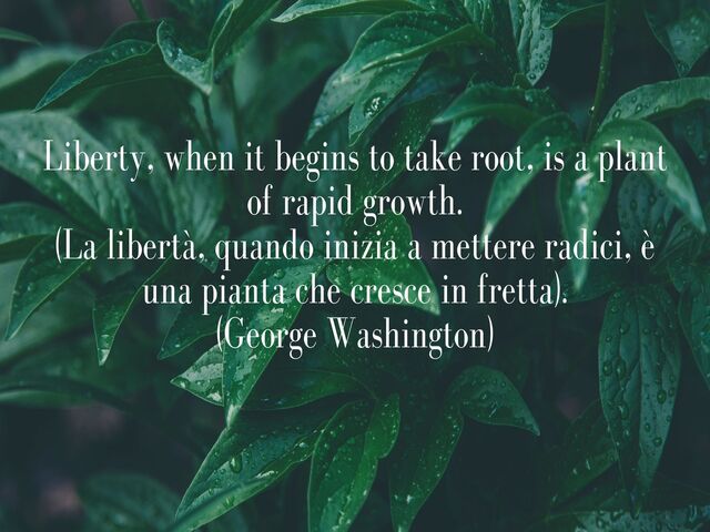 Liberty, when it begins to take root, is a plant of rapid growth.(La libertà, quando inizia a mettere radici, è una pianta che cresce in fretta).(George Washington)