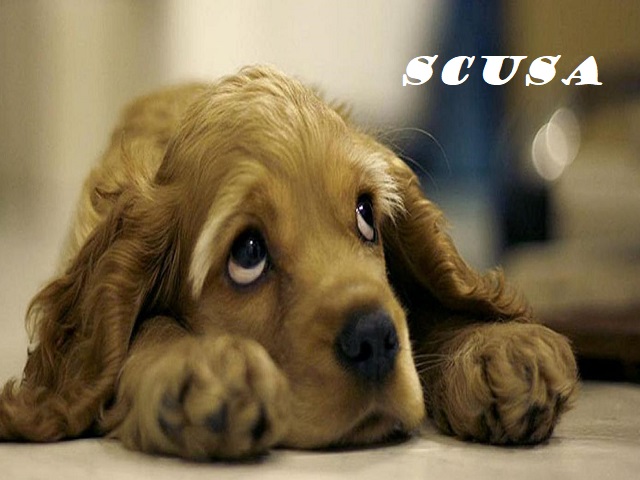 Scusa