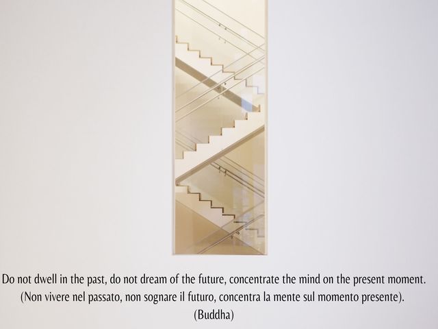 Do not dwell in the past, do not dream of the future, concentrate the mind on the present moment.(Non vivere nel passato, non sognare il futuro, concentra la mente sul momento presente).(Buddha)