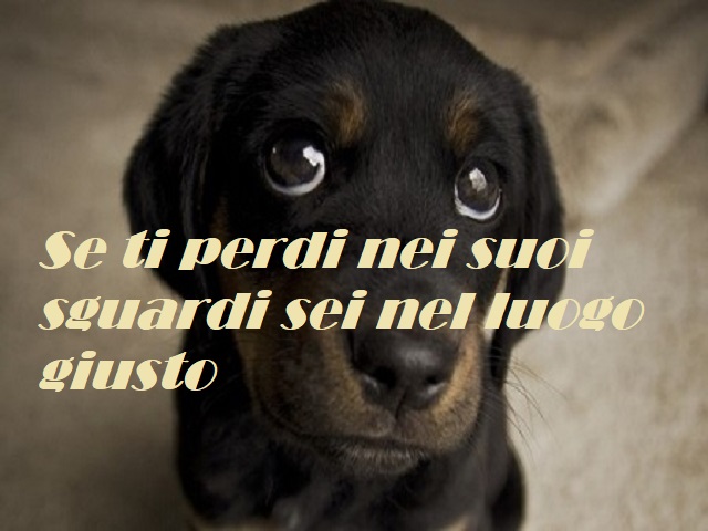 Se ti perdi nei suoi sguardi sei nel luogo giusto.