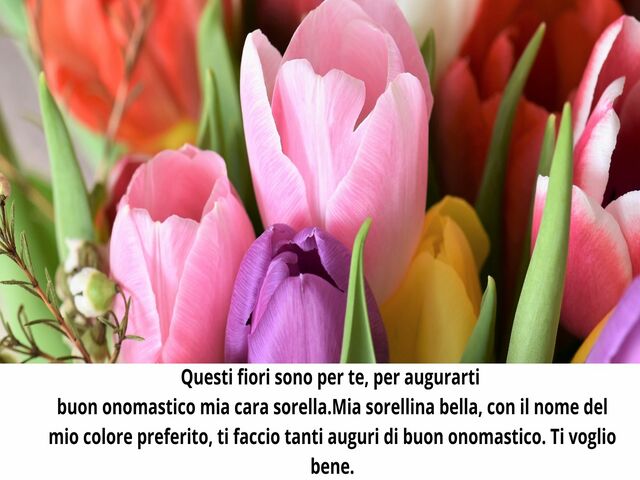 Questi fiori sono per te, per augurartibuon onomastico mia cara sorella.Mia sorellina bella, con il nome del mio colore preferito, ti faccio tanti auguri di buon onomastico. Ti voglio bene.