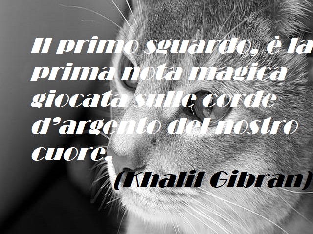 Il primo sguardo, è la prima nota magica giocata sulle corde d'argento del nostro cuore. (Khalil Gibran)
