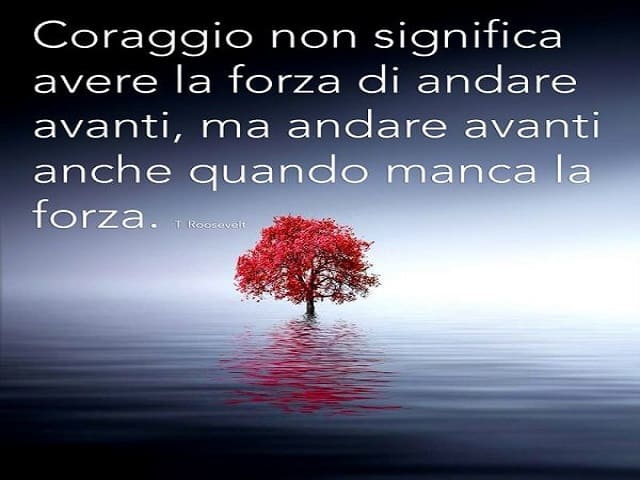 Coraggio non significa avere la forza di andare avanti, ma andare avanti anche quando manca la forza. (Theodore Roosevelt)