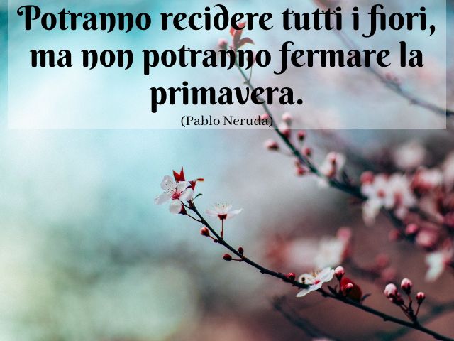 Potranno recidere tutti i fiori, ma non potranno fermare la primavera. (Pablo Neruda)