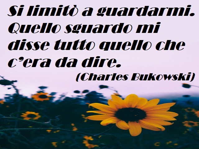 Si limitò a guardarmi. Quello sguardo mi disse tutto quello che c'era da dire. (Charles Bukowski)