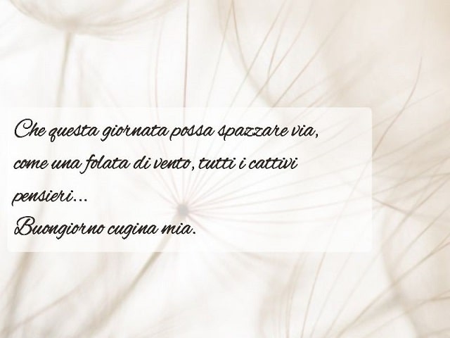 Che questa giornata possa spazzare via, come una folata di vento, tutti i cattivi pensieri... Buongiorno cugina mia.