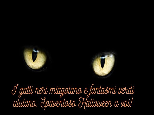 I gatti neri miagolano e fantasmi verdi ululano, Spaventoso Halloween a voi!