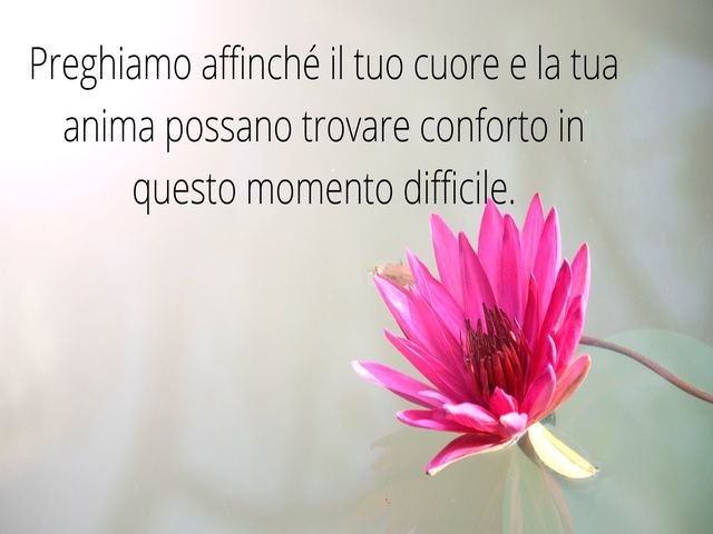 Preghiamo affinché il tuo cuore e la tua anima possano trovare conforto in questo momento difficile.